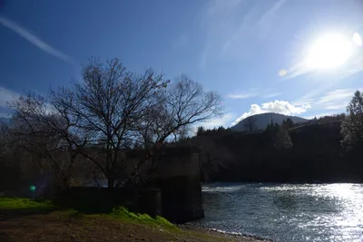 DSC_1090 (Large).JPG